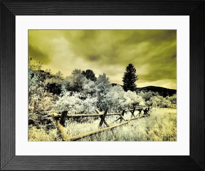 Framed Print : USA, Utah, Infrared of the Logan Pass area with split rai fence Date: 26-09-2020