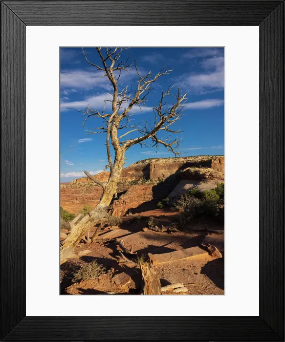 Framed Print : Dead Horse State Park. Utah, USA. Date: 16-07-2021