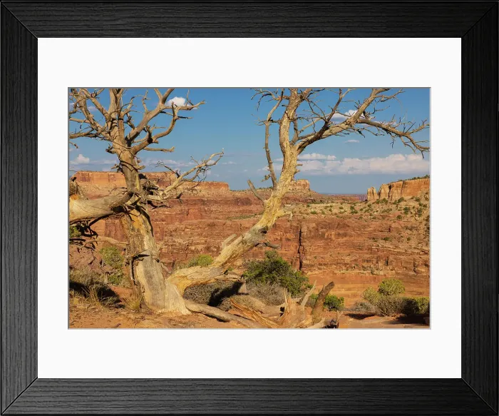 Framed Print : Dead Horse State Park. Utah, USA. Date: 16-07-2021