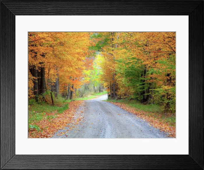 Framed Print : USA, New England, Vermont tree-lined roadway in Autumns Fall colors. Date: 05-10-2013 Framed Print : USA, New England, Vermont tree-lined roadway in Autumns Fall colors. Date: 05-10-2013