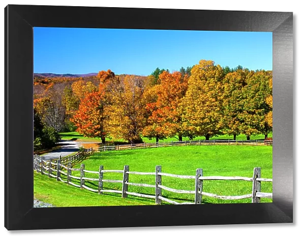 USA, New England, Vermont countryside with curved gravel road fence in Autumn Date: 08-10-2013
