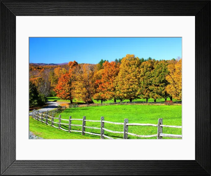 Framed Print : USA, New England, Vermont countryside with curved gravel road fence in Autumn Date: 08-10-2013 Framed Print : USA, New England, Vermont countryside with curved gravel road fence in Autumn Date: 08-10-2013