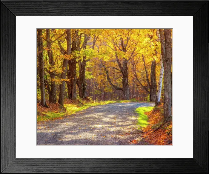 Framed Print : USA, New England, Vermont tree-lined gravel road with Sugar Maple in Autumn Date: 08-10-2013 Framed Print : USA, New England, Vermont tree-lined gravel road with Sugar Maple in Autumn Date: 08-10-2013