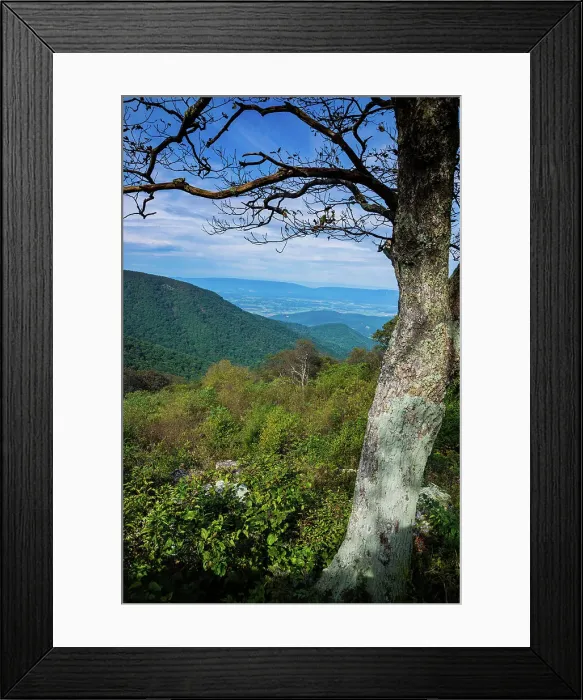 Framed Print : Shenandoah vista, Blue Ridge Parkway, Smoky Mountains, USA. Date: 02-10-2018 Framed Print : Shenandoah vista, Blue Ridge Parkway, Smoky Mountains, USA. Date: 02-10-2018