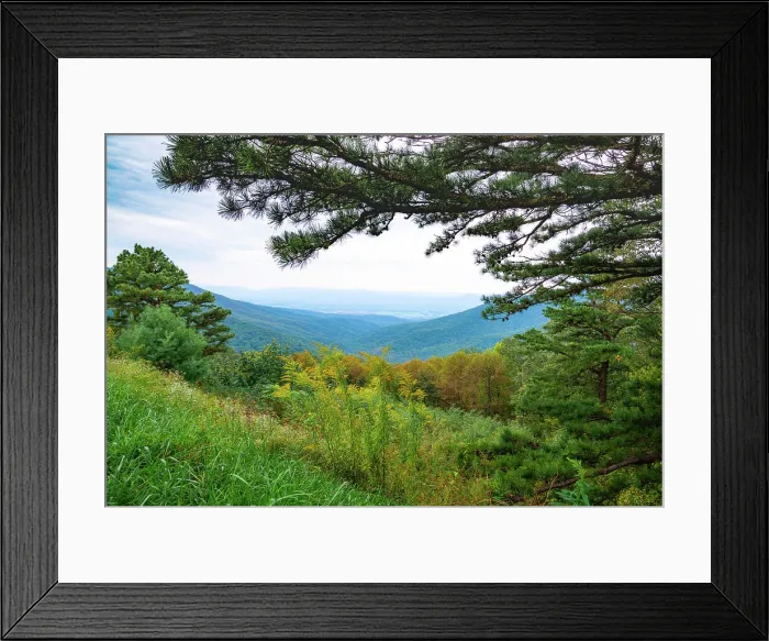 Framed Print : Vista, Shenandoah, Blue Ridge Parkway, Smoky Mountains, USA. Date: 02-10-2018 Framed Print : Vista, Shenandoah, Blue Ridge Parkway, Smoky Mountains, USA. Date: 02-10-2018
