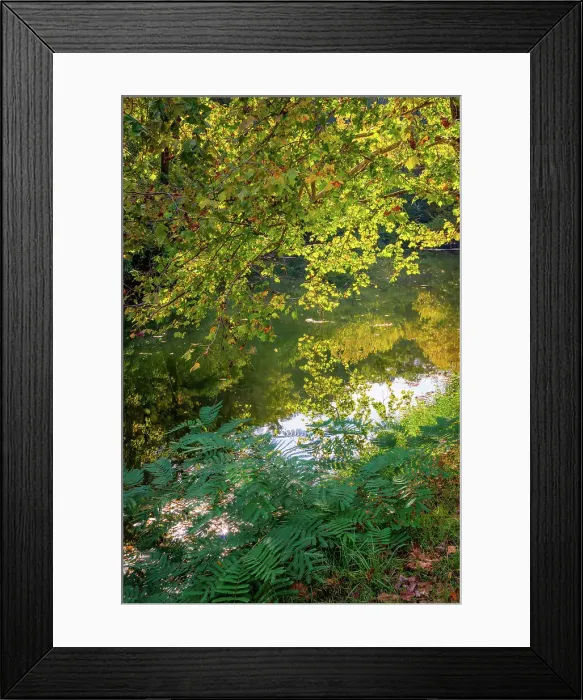 Framed Print : Otter Lake, Blue Ridge Parkway, Virginia, USA. Date: 04-10-2018 Framed Print : Otter Lake, Blue Ridge Parkway, Virginia, USA. Date: 04-10-2018