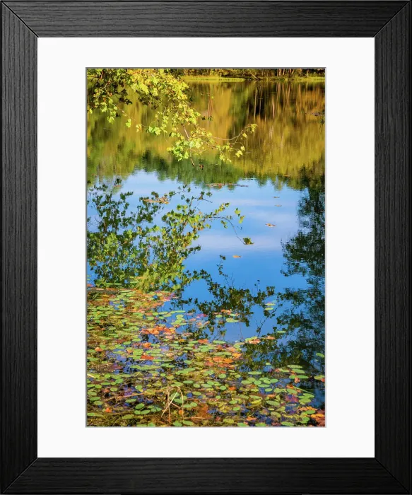 Framed Print : Reflections, Otter Lake, Blue Ridge Parkway, Virginia, USA. Date: 04-10-2018
