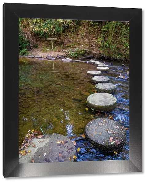 Otter Lake Creek stepping stones, Blue Ridge Parkway, Smoky Mountains, USA. Date: 04-10-2018