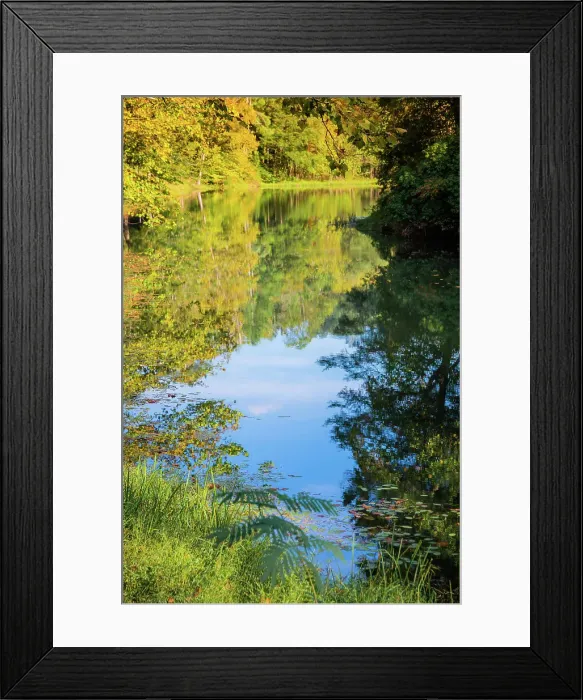 Framed Print : Reflections, Otter Lake, Blue Ridge Parkway, Smoky Mountains, USA. Date: 04-10-2018