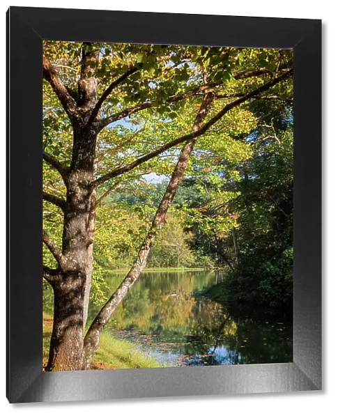 Otter Lake, Blue Ridge Parkway, Smoky Mountains, USA. Date: 04-10-2018
