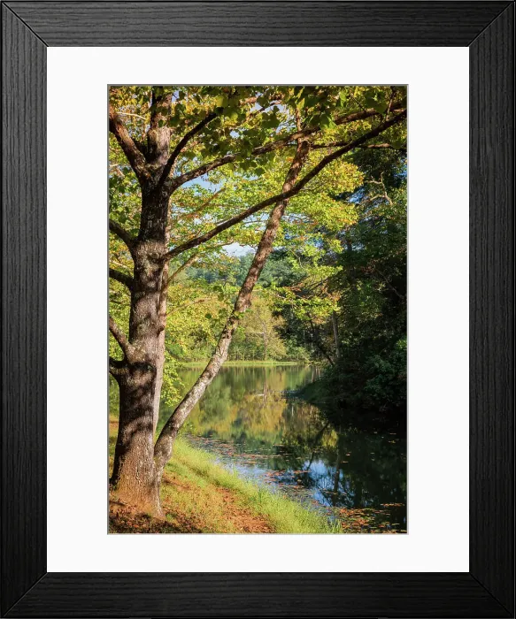 Framed Print : Otter Lake, Blue Ridge Parkway, Smoky Mountains, USA. Date: 04-10-2018 Framed Print : Otter Lake, Blue Ridge Parkway, Smoky Mountains, USA. Date: 04-10-2018