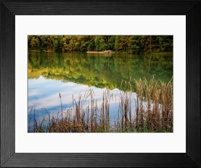Framed Print : Lake reflections, Peaks Of Otter, Blue Ridge Parkway, Smoky Mountains, USA. Date: 04-10-2018 Framed Print : Lake reflections, Peaks Of Otter, Blue Ridge Parkway, Smoky Mountains, USA. Date: 04-10-2018