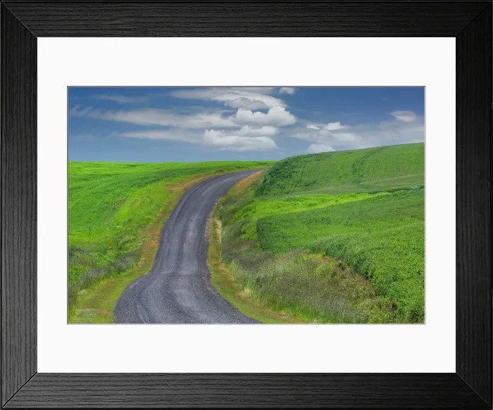 Framed Print : Rural road through rolling wheat fields, Palouse region of eastern Washington State. Date: 15-06-2013 Framed Print : Rural road through rolling wheat fields, Palouse region of eastern Washington State. Date: 15-06-2013