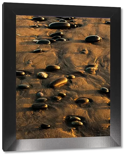 Pattern of smooth round stones on beach at sunset, Olympic National Park, Washington State Date: 22-07-2013