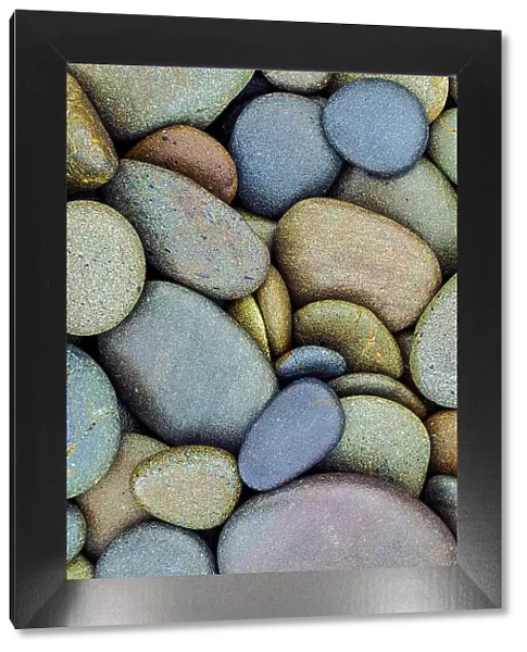 Pattern of smooth rounded stones on beach, Olympic National Park, Washington State Date: 21-06-2013