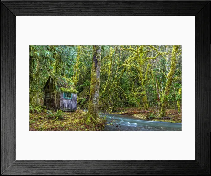 Framed Print : USA, Washington State, Olympic National Park. Weathered cabin beside Elk Creek. Date: 13-01-2021