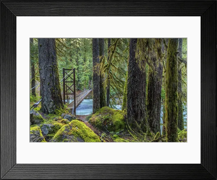 Framed Print : USA, Washington State, Olympic National Park. Bridge across North Fork Skokomish River. Date: 13-01-2021 Framed Print : USA, Washington State, Olympic National Park. Bridge across North Fork Skokomish River. Date: 13-01-2021