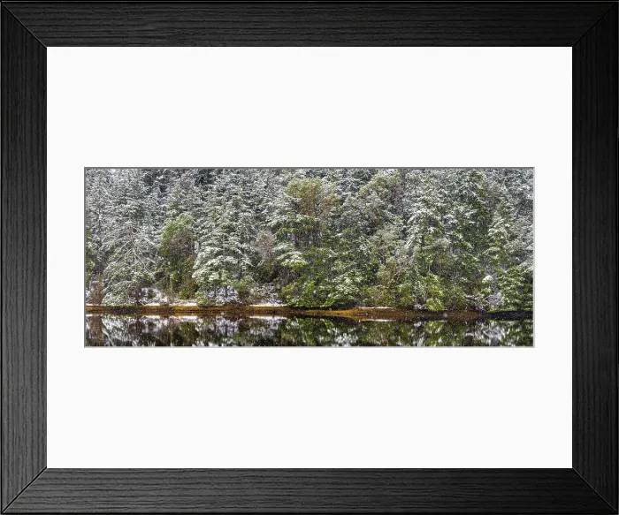Framed Print : USA, Washington State, Seabeck, Misery Point Preserve. Panoramic of forest reflections in lagoon. Date: 14-02-2021 Framed Print : USA, Washington State, Seabeck, Misery Point Preserve. Panoramic of forest reflections in lagoon. Date: 14-02-2021