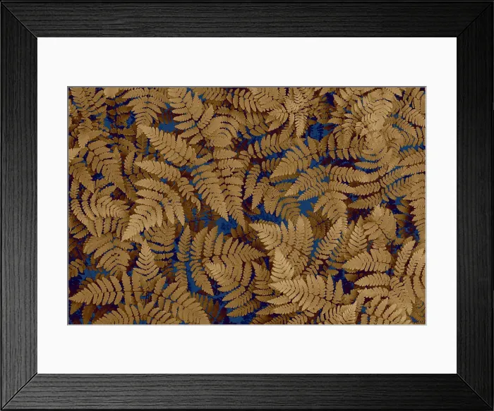 Framed Print : USA, Washington State, Olympic National Forest. Dried oak fern patterns. Date: 26-05-2021 Framed Print : USA, Washington State, Olympic National Forest. Dried oak fern patterns. Date: 26-05-2021