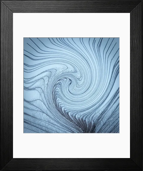 Framed Print : USA, Washington State, Seabeck. Downy feather with a twist. Date: 09-08-2021 Framed Print : USA, Washington State, Seabeck. Downy feather with a twist. Date: 09-08-2021