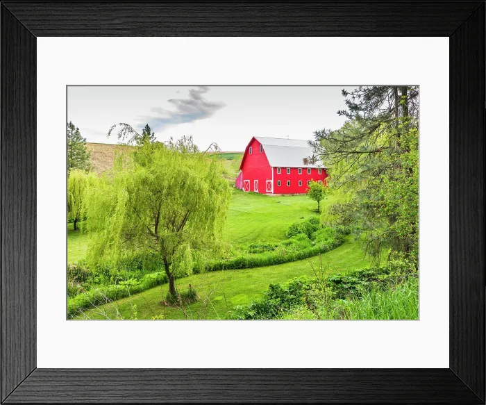 Framed Print : Colfax, Washington State, USA. A red barn on a farm in the Palouse hills. (Editorial Use Only) Date: 22-05-2021