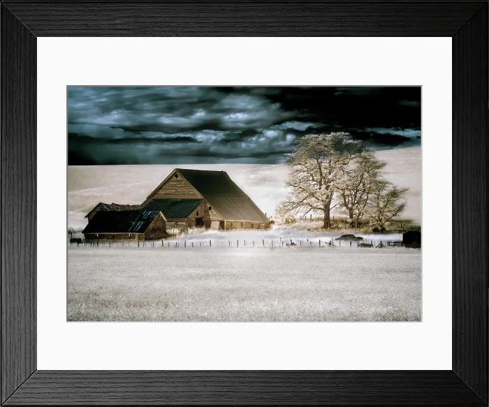 Framed Print : USA, Washington State, Palouse Date: 17-06-2016 Framed Print : USA, Washington State, Palouse Date: 17-06-2016