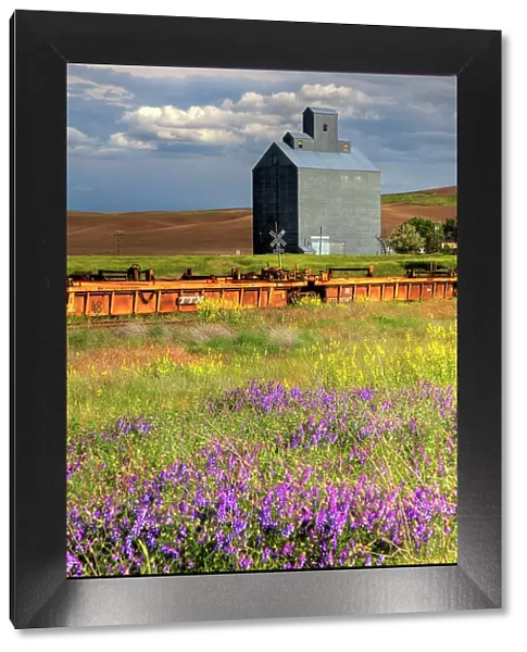 USA, Washington State, Palouse. Old silo with wildflowers in the foreground in the town of Wauconda in Eastern Washington. Date: 19-06-2010