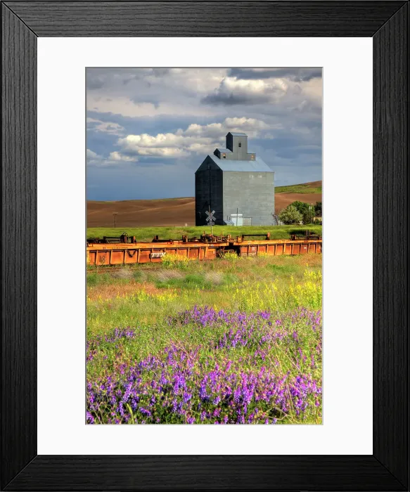 Framed Print : USA, Washington State, Palouse. Old silo with wildflowers in the foreground in the town of Wauconda in Eastern Washington. Date: 19-06-2010 Framed Print : USA, Washington State, Palouse. Old silo with wildflowers in the foreground in the town of Wauconda in Eastern Washington. Date: 19-06-2010
