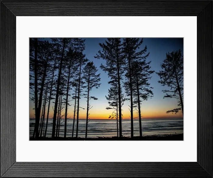 Framed Print : Ruby Beach, Forks, Washington State, USA. Olympic National Park Date: 19-03-2020 Framed Print : Ruby Beach, Forks, Washington State, USA. Olympic National Park Date: 19-03-2020