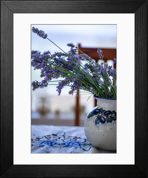 Framed Print : Bremerton, Washington State, USA. Lavender in a vase. Date: 15-07-2020 Framed Print : Bremerton, Washington State, USA. Lavender in a vase. Date: 15-07-2020