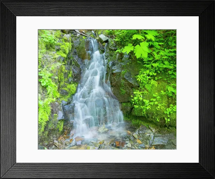 Framed Print : Washington State, Central Cascades, Waterfall, on trail to Annette Lake Date: 15-07-2020 Framed Print : Washington State, Central Cascades, Waterfall, on trail to Annette Lake Date: 15-07-2020
