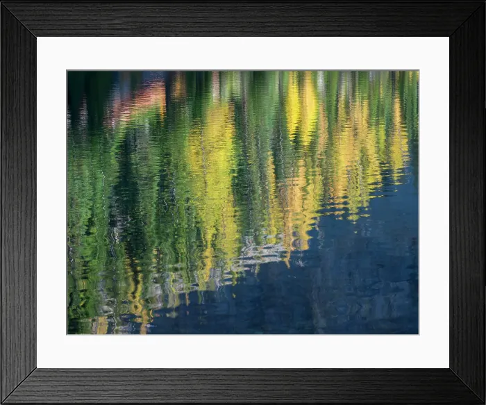 Framed Print : Washington State, North Cascades, Blue Lake, Larch tree reflections Date: 04-10-2020 Framed Print : Washington State, North Cascades, Blue Lake, Larch tree reflections Date: 04-10-2020