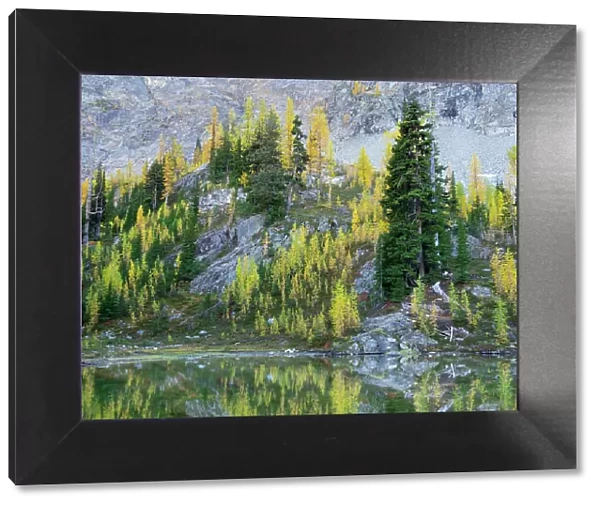 Washington State, North Cascades, Alpine Pond with Larch and Fir trees Date: 04-10-2020