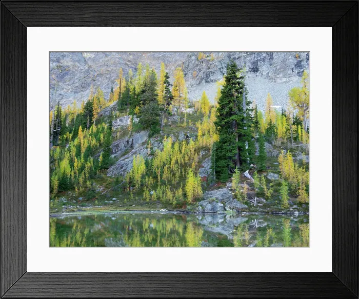 Framed Print : Washington State, North Cascades, Alpine Pond with Larch and Fir trees Date: 04-10-2020 Framed Print : Washington State, North Cascades, Alpine Pond with Larch and Fir trees Date: 04-10-2020