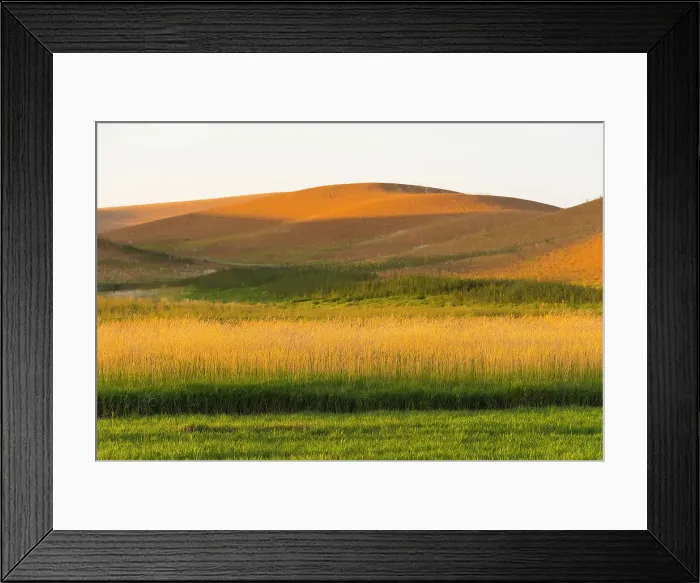 Framed Print : Sunset view of wheat field, Palouse, Washington State, USA Date: 12-08-2019 Framed Print : Sunset view of wheat field, Palouse, Washington State, USA Date: 12-08-2019