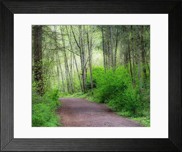 Framed Print : USA, Washington State, Pacific Northwest Sammamish trail along Yellow Lake Date: 23-04-2020 Framed Print : USA, Washington State, Pacific Northwest Sammamish trail along Yellow Lake Date: 23-04-2020
