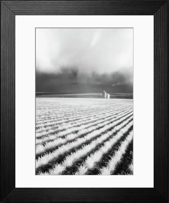 Framed Print : USA, Washington State, Silo with Storm front coming Date: 29-03-2006 Framed Print : USA, Washington State, Silo with Storm front coming Date: 29-03-2006
