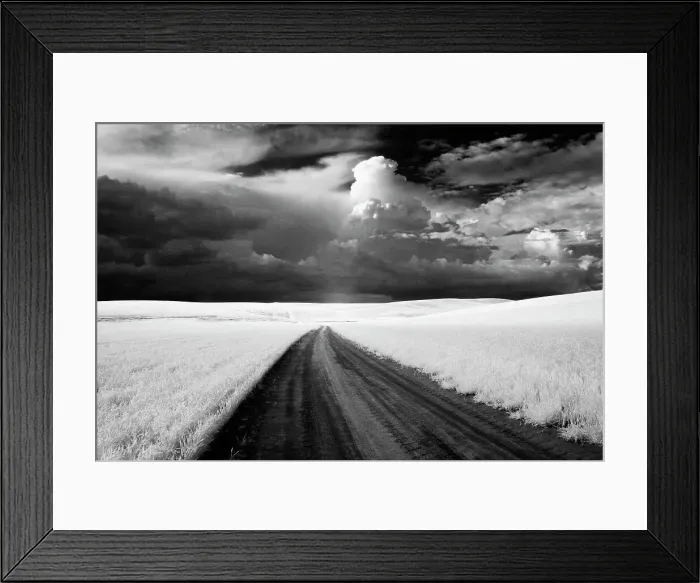 Framed Print : USA, Washington State, Country backroad Date: 10-06-2006 Framed Print : USA, Washington State, Country backroad Date: 10-06-2006