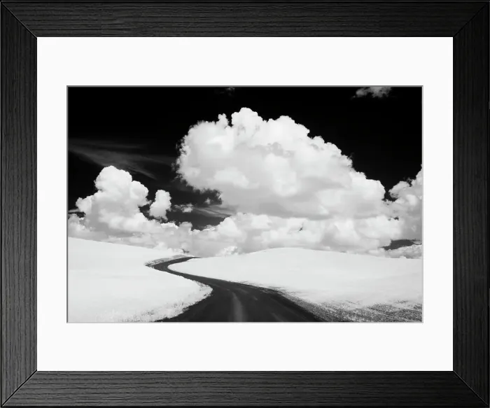 Framed Print : USA, Washington State, Country backroad Date: 11-06-2006 Framed Print : USA, Washington State, Country backroad Date: 11-06-2006