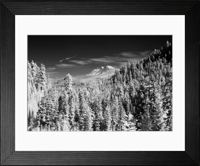 Framed Print : USA, Washington State, Mt. Rainier viewed from the South Date: 27-08-2006 Framed Print : USA, Washington State, Mt. Rainier viewed from the South Date: 27-08-2006