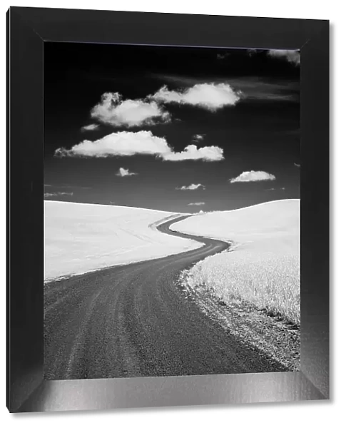 USA, Palouse Country, Washington State, Infrared Palouse fields and backroad Date: 11-06-2011
