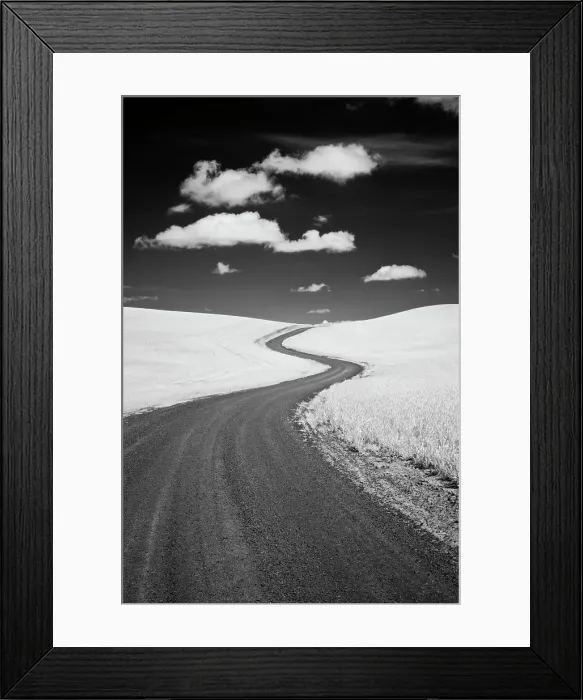 Framed Print : USA, Palouse Country, Washington State, Infrared Palouse fields and backroad Date: 11-06-2011 Framed Print : USA, Palouse Country, Washington State, Infrared Palouse fields and backroad Date: 11-06-2011