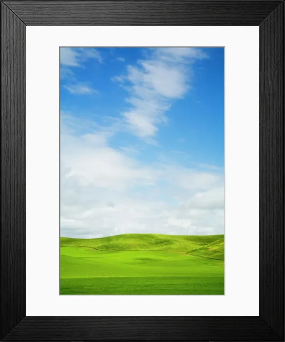 Framed Print : USA, Washington State, Palouse Region, Patterns in the fields of fresh green Spring wheat Date: 13-06-2006