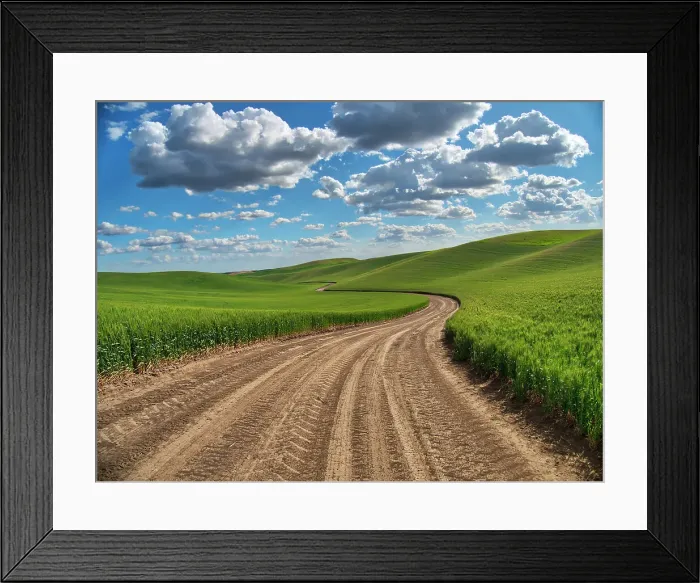 Framed Print : USA, Washington State, Palouse, Country Backroad through Spring wheat fields Date: 19-06-2019 Framed Print : USA, Washington State, Palouse, Country Backroad through Spring wheat fields Date: 19-06-2019