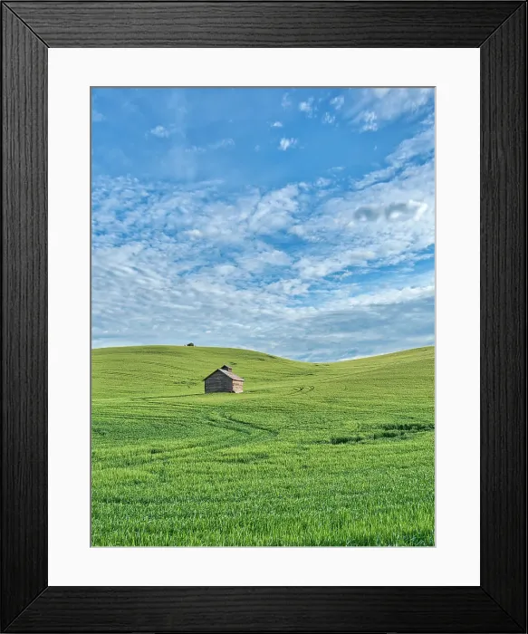 Framed Print : USA, Washington State, Small barn and tracks in wheat field Date: 11-06-2020