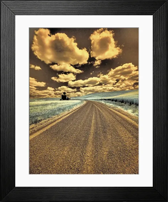 Framed Print : USA, Washington State, Palouse. Country backroad through spring crops Date: 12-10-2020 Framed Print : USA, Washington State, Palouse. Country backroad through spring crops Date: 12-10-2020