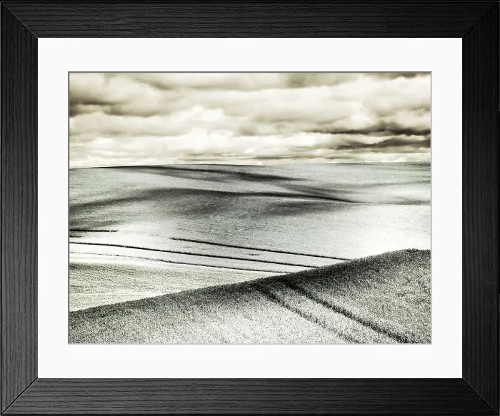 Framed Print : USA, Washington State, Palouse. Crops growing on the rolling hills of the Palouse Date: 12-10-2020 Framed Print : USA, Washington State, Palouse. Crops growing on the rolling hills of the Palouse Date: 12-10-2020