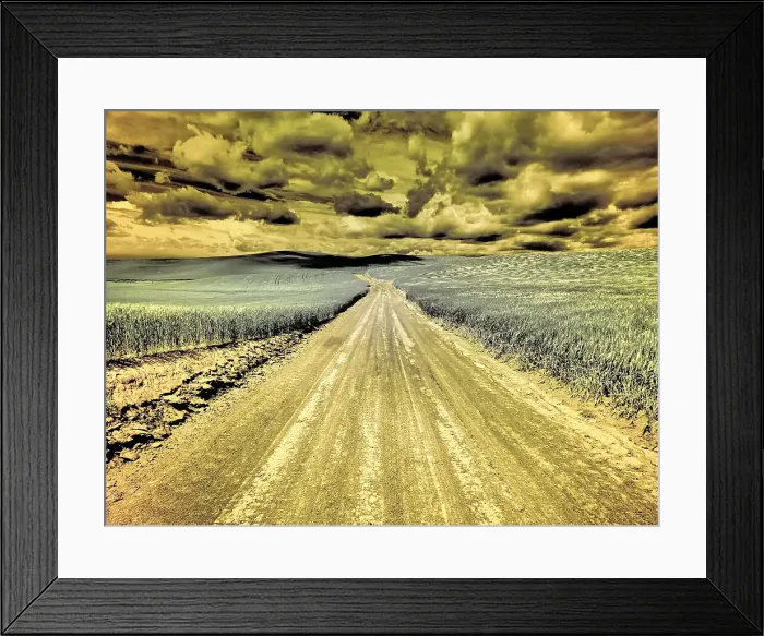 Framed Print : USA, Washington State, Palouse. Country backroad through spring crops Date: 12-10-2020