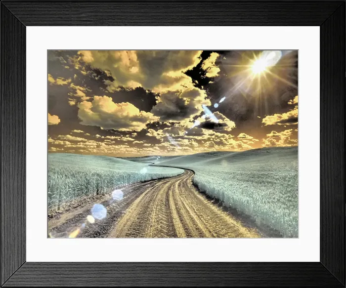 Framed Print : USA, Washington State, Palouse. Country backroad through spring crops Date: 12-10-2020 Framed Print : USA, Washington State, Palouse. Country backroad through spring crops Date: 12-10-2020