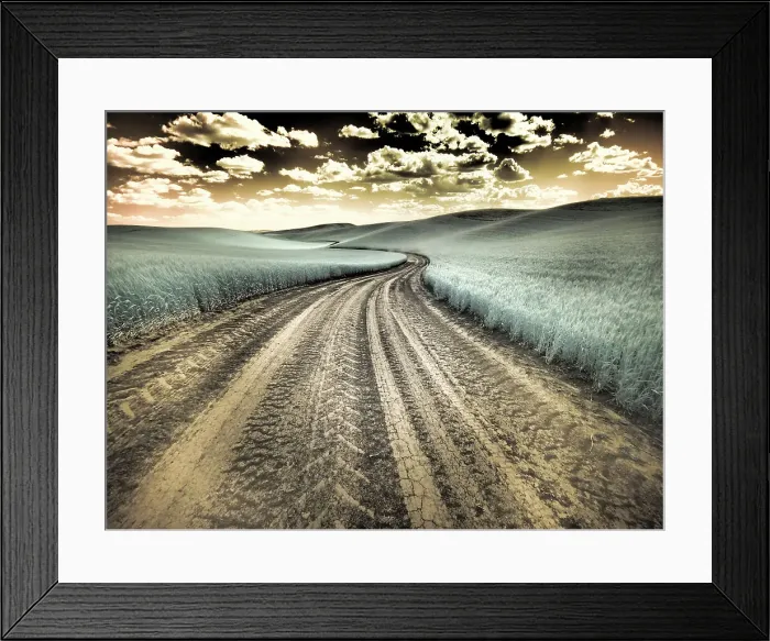 Framed Print : USA, Washington State, Palouse. Country backroad through spring crops Date: 12-10-2020 Framed Print : USA, Washington State, Palouse. Country backroad through spring crops Date: 12-10-2020